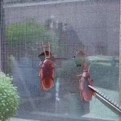 Screen Repair Tape