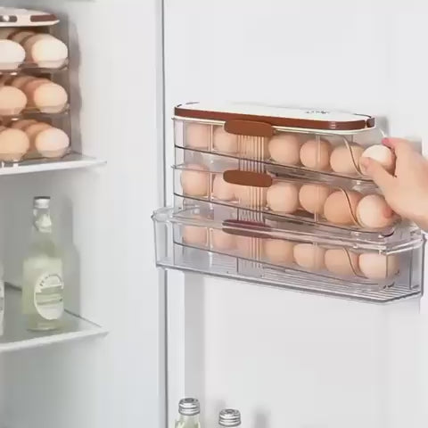 New EGG TRAY BOX STYLE